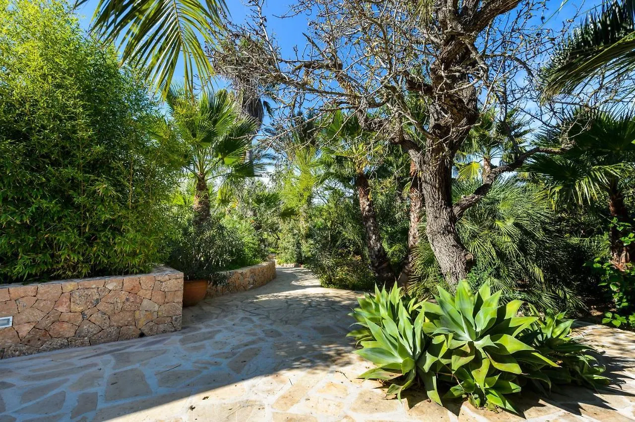 La Vila 30 Gran Ibiza San José